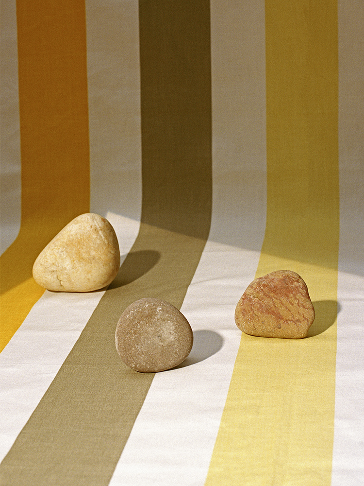 Doing Bird - Photography by VICTORIA ZSCHOMMLER